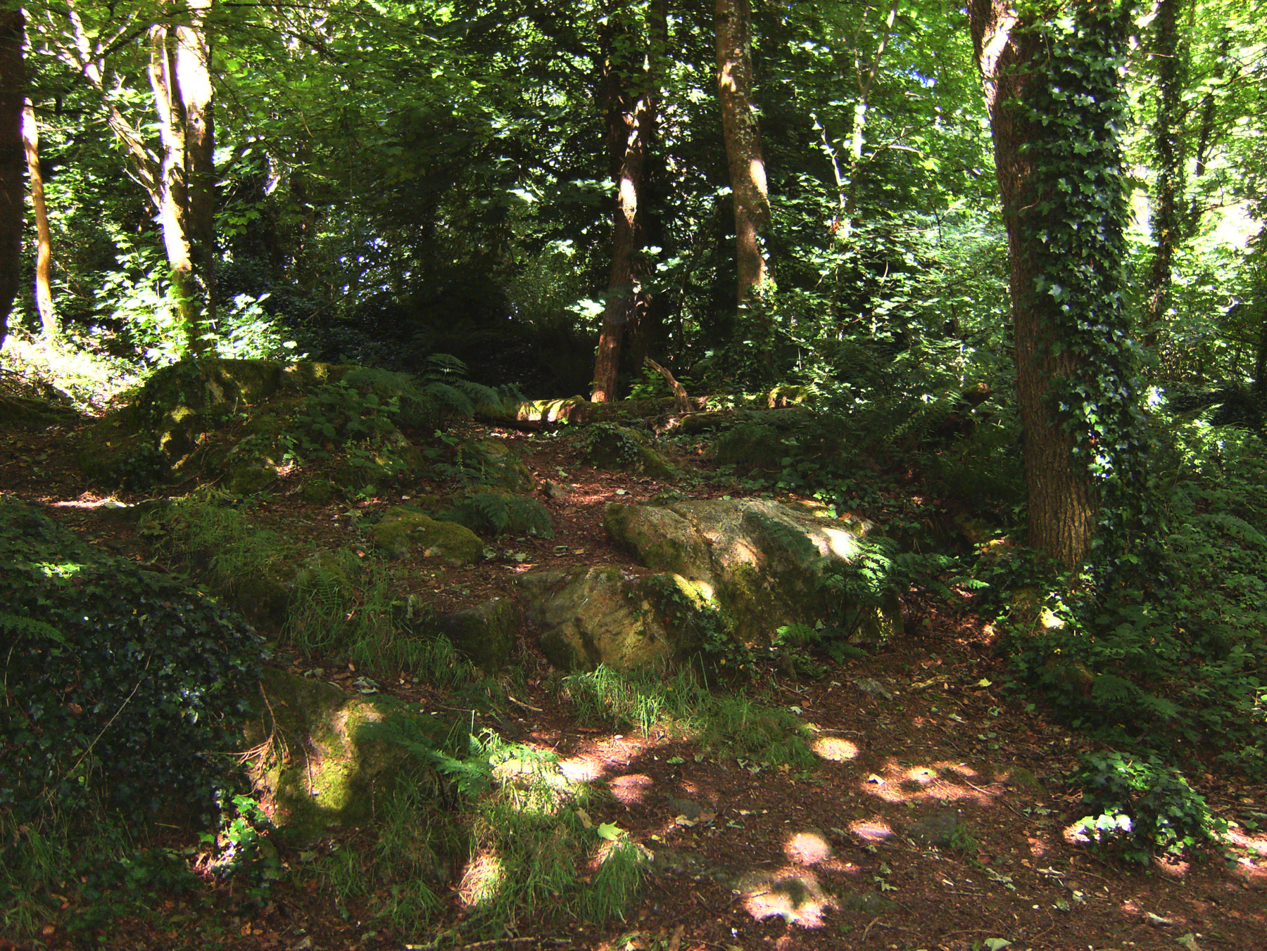 Killiney Hill