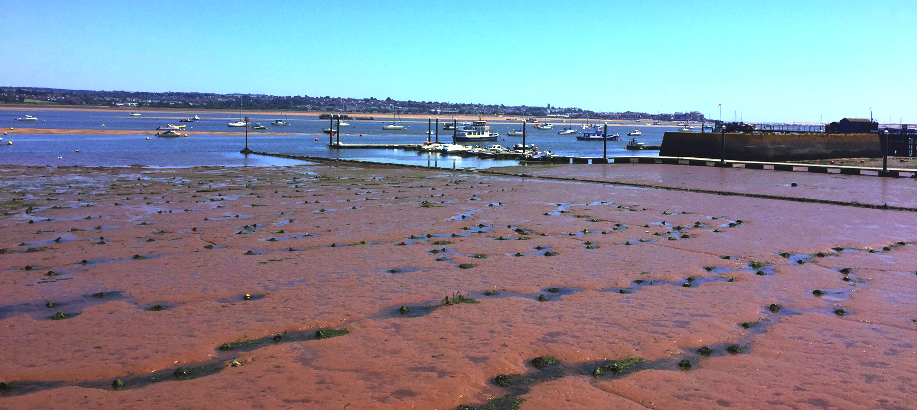 Starcross looking east