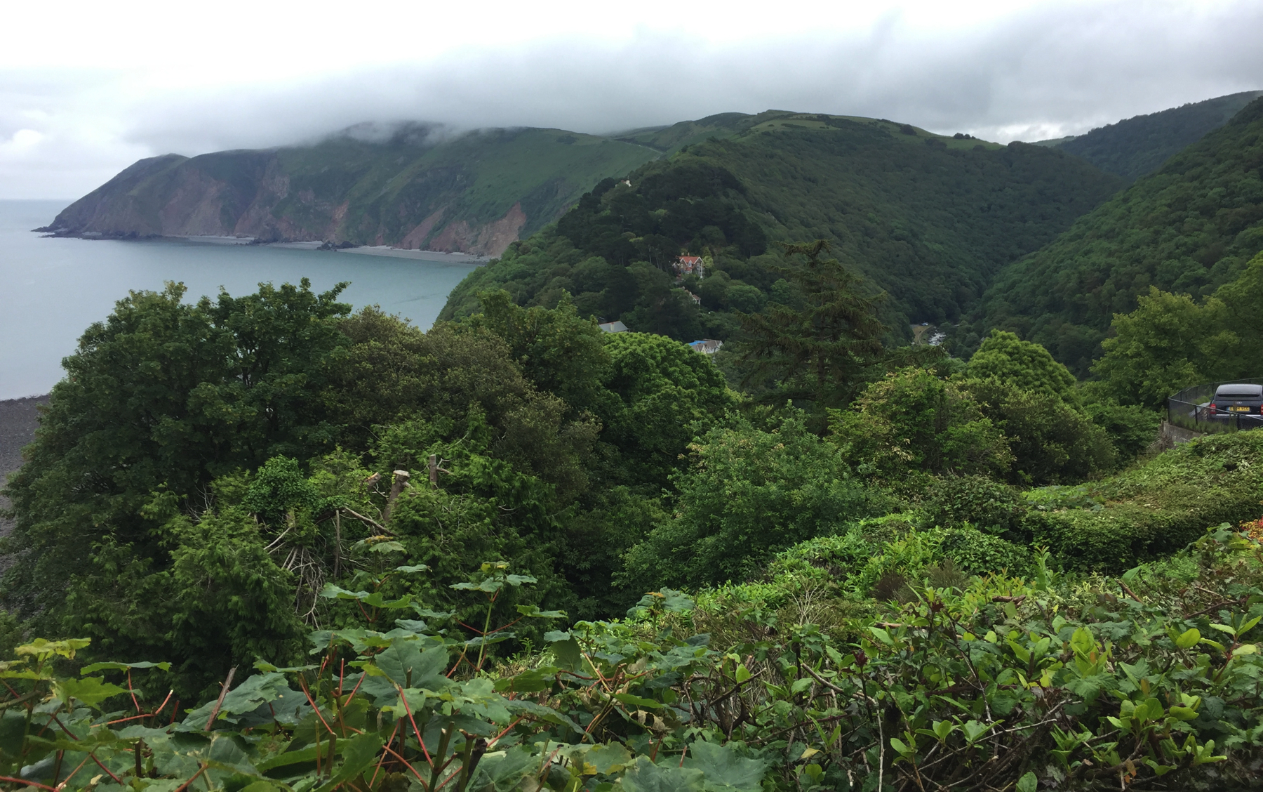 Lynton