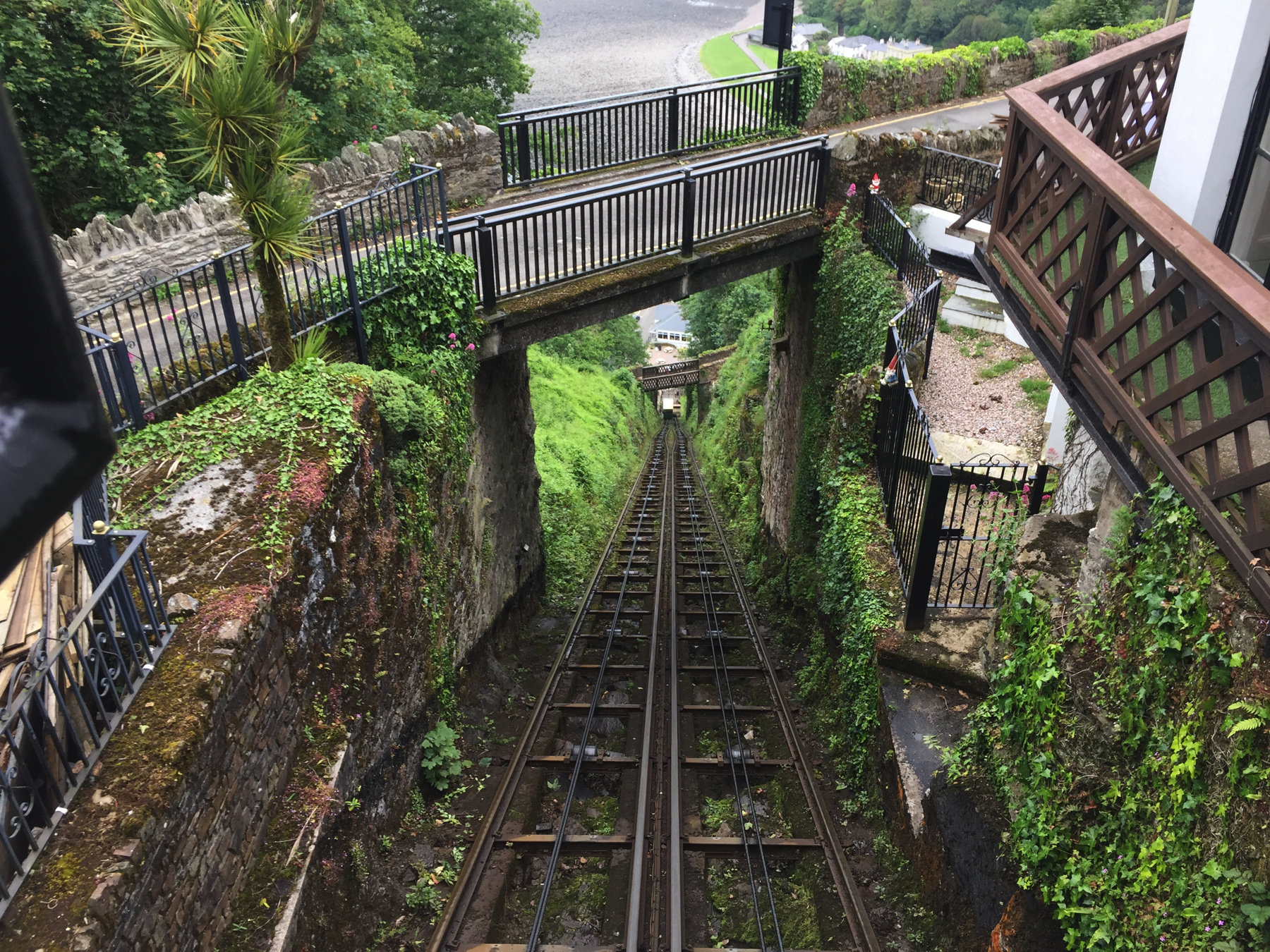 Lynton
