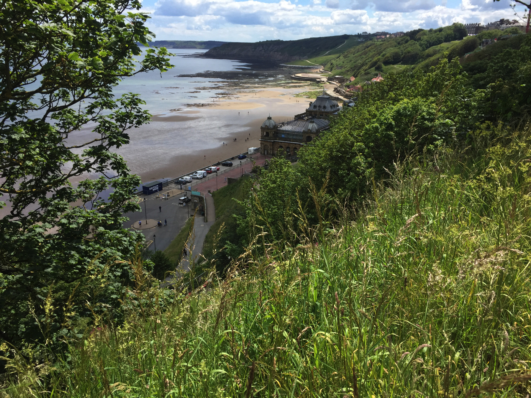 Coast