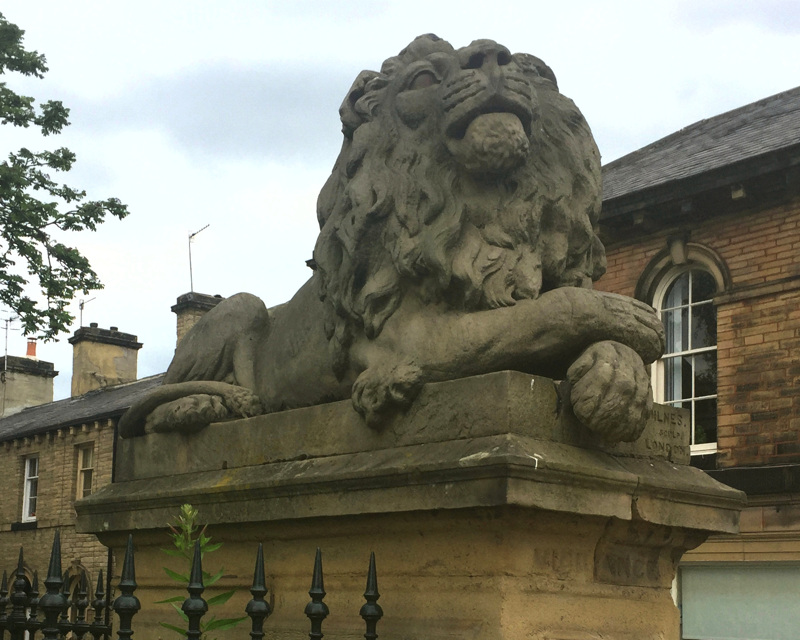 Lion