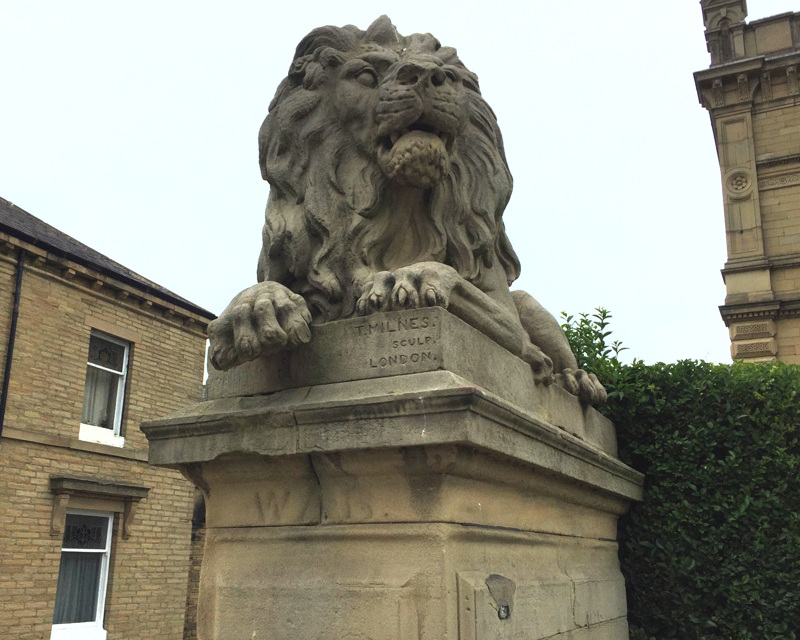 Lion
