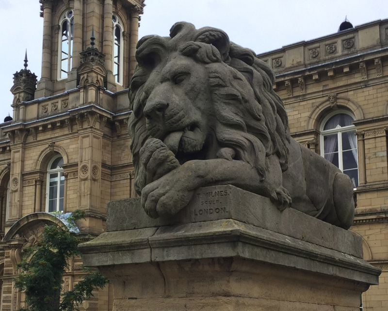 Lion