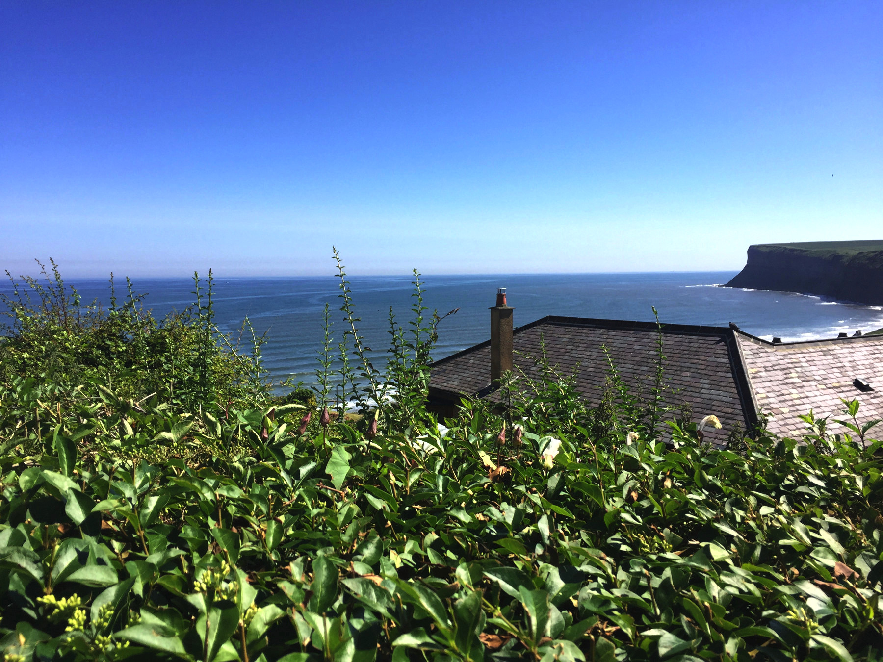 Saltburn