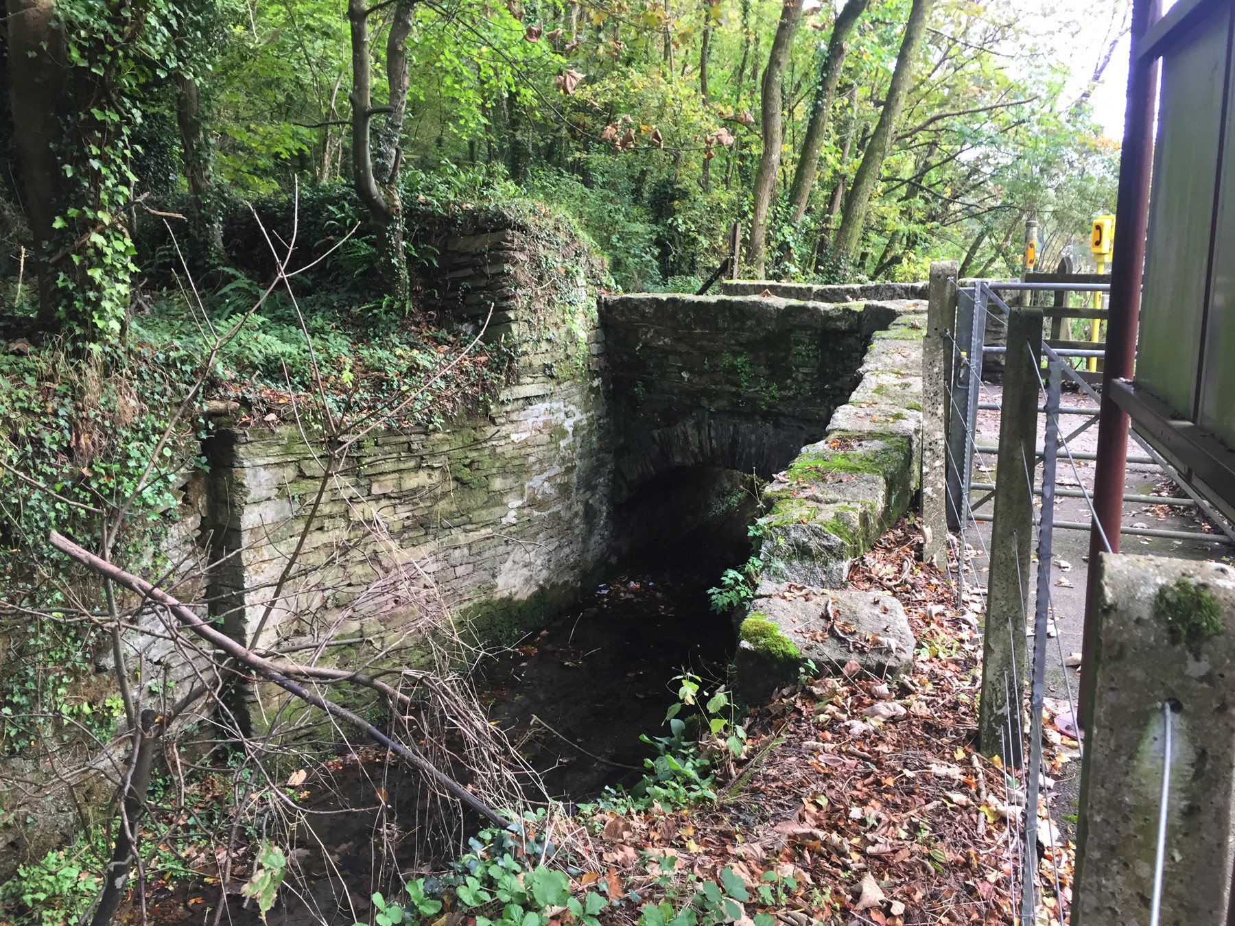 Coombe