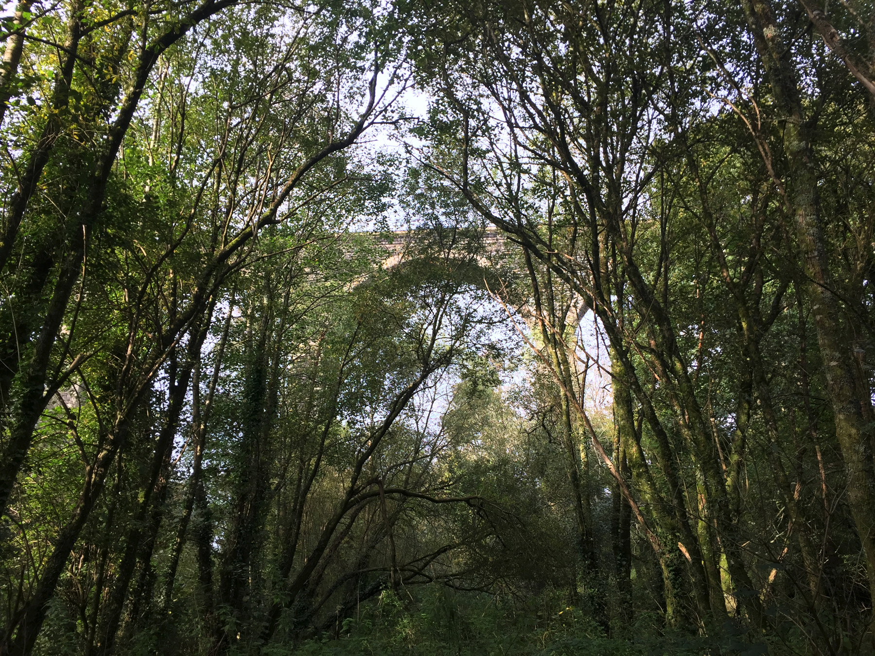 Moorswater