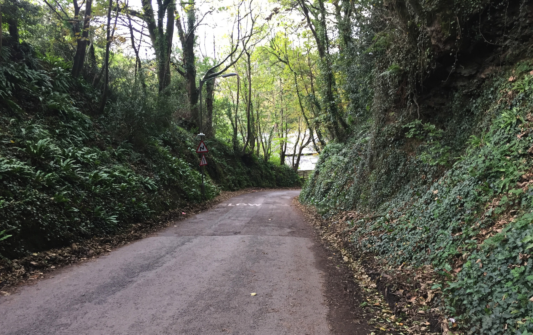Coombe