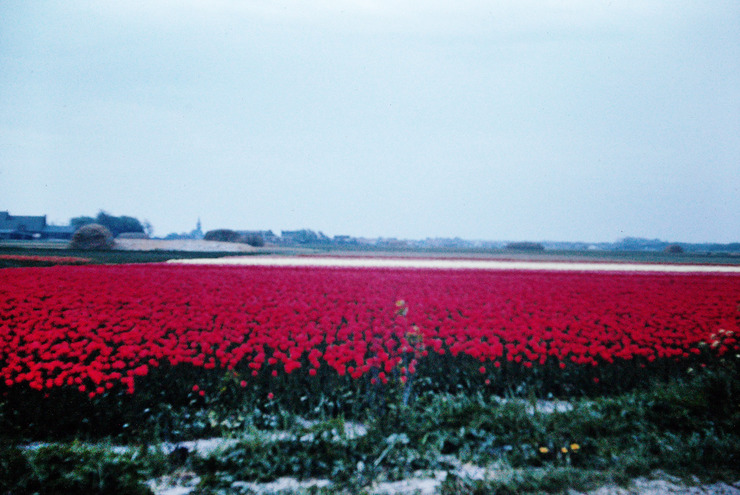 pict0017