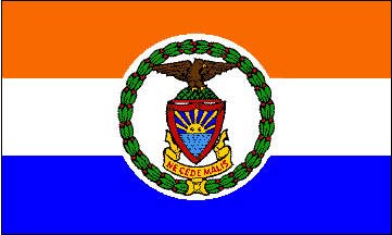 Bronx flag