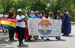 4223