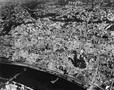 frankfurt1945