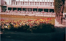 palmengarten2