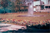 palmengarten3