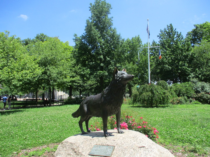 Bronx NY June 2021 Photo 94 Van Cortlandt Park (June 20)