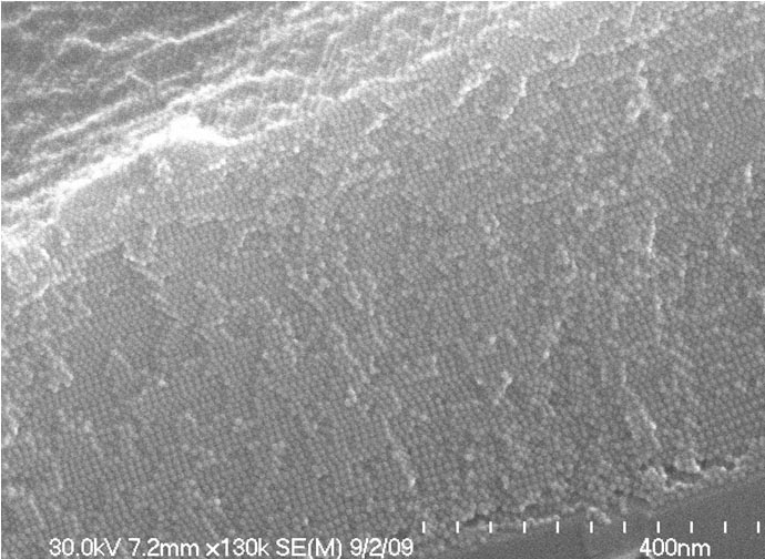 Carbon Nanotubes