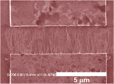 Carbon Nanotubes