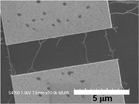 Carbon Nanotubes