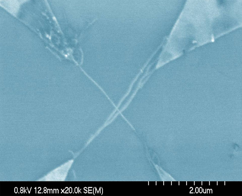 Carbon Nanotubes