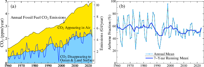 CO2 emissions and airborne fraction.