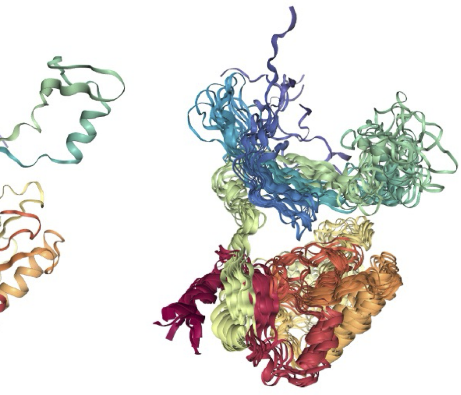 SeqDance A Protein Language Model for Representing Protein Dynamic